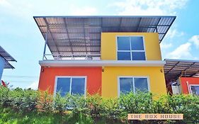 The Box House